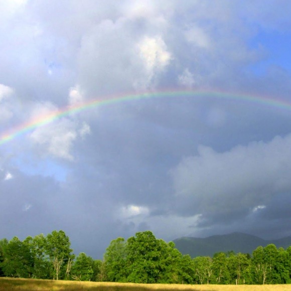 Meet your Posher, Joycee - Picture 1 of 1